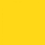 Yellow (RAL 1023)